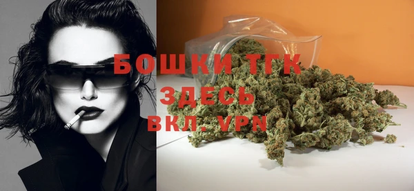 спайс Корсаков