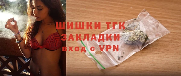 спайс Корсаков