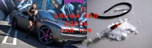 спайс Корсаков
