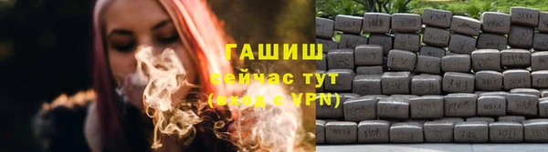 спайс Корсаков