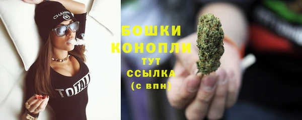 соль ск Костерёво