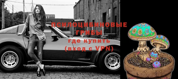 соль ск Костерёво
