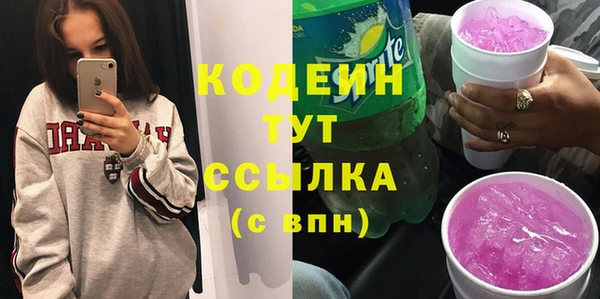 спайс Корсаков