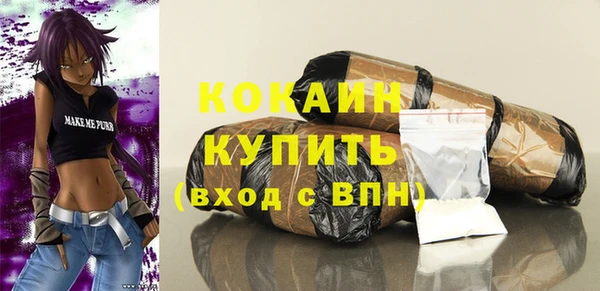 спайс Корсаков