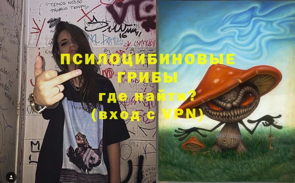 спайс Корсаков