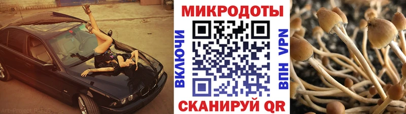 Купить закладки  Нефтекумск  Псилоцибиновые грибы мухоморы 
